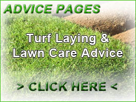 Turf Lawns garden Advice