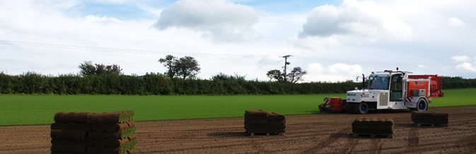 Lawn Turf In Suffolk From Lawns - Emerald View Turf Farms Lawn Turf In Suffolk From Lawns - Emerald View Turf Farms